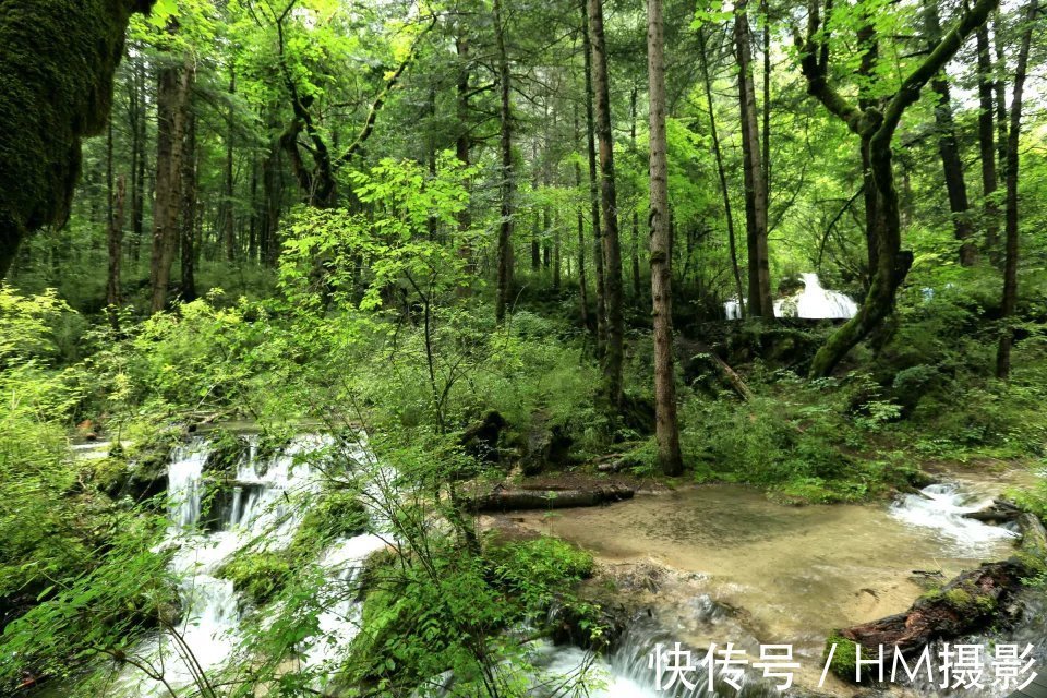 海子|神奇的人间天堂 九寨沟