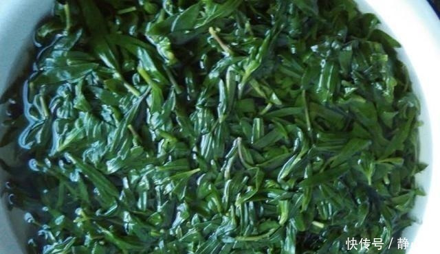 相对性|山上一野菜,半个月就可采摘一次,市场一斤卖60元,见到请珍惜