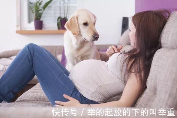 弓形虫|28条孕期“伪禁忌”，孕妈不要再被那些孕期谣言误导了