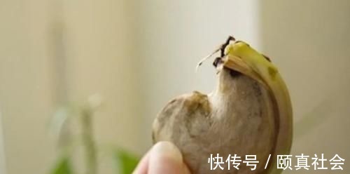 水果|越来越多孩子患“白血病”,这3种水果被盯上,娃再馋也别给买