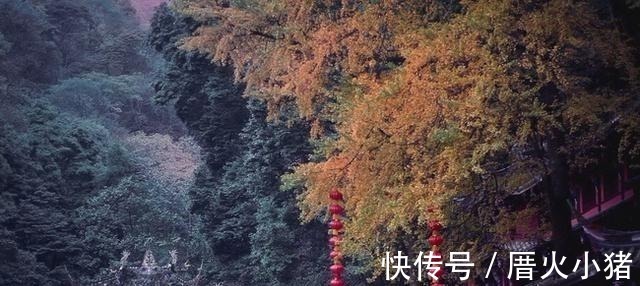 道家@青城山:道家的一副对联,读懂后,必可参透人生,受益终身