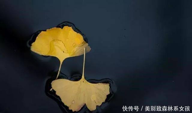 不知道|人的一生,会有三次死亡