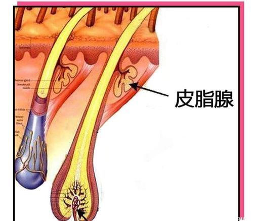 痘痘|对于脸上不断冒痘的原因有哪些?要如何改善呢?