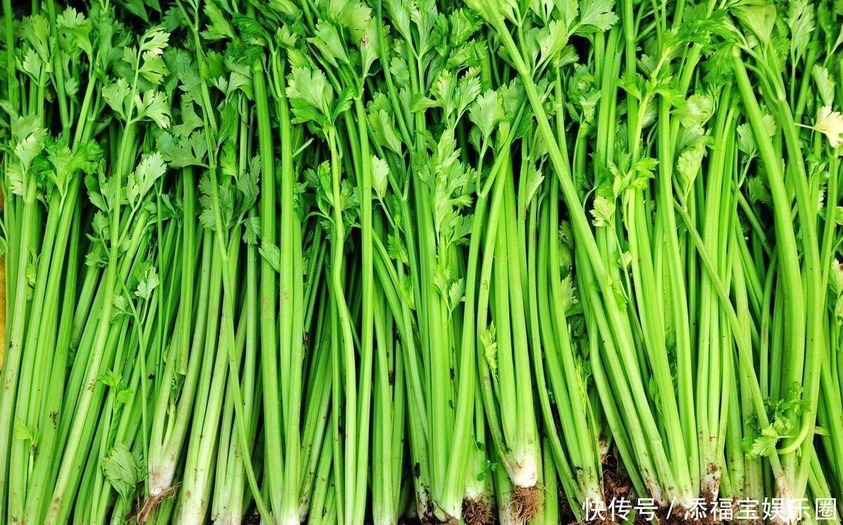 50亩芹菜 争“鲜”上市