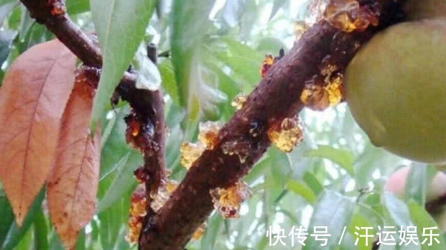 聪明女人|皱纹最怕以下三种碱性食物,聪明女人经常吃,雌激素满满不衰老