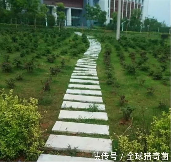 小夜灯!35个匪夷所思的沙雕设计,简直让人哭笑不得