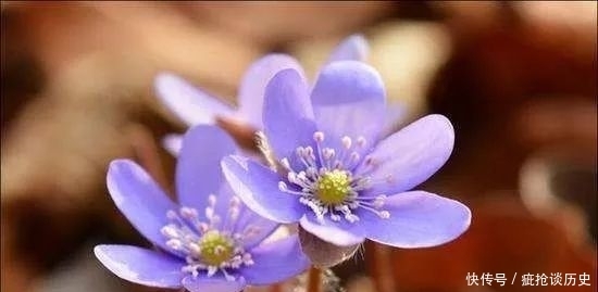 刹那|日出老师作品:《缘起刹那》 诵/蝶之梦