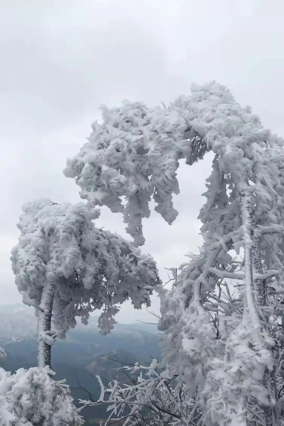 千古神话|千古神话! 天台的天姥山上冰雪等你一万年!