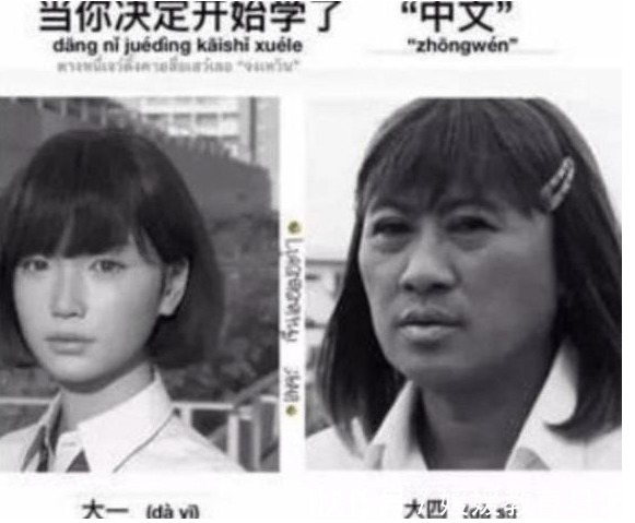 |汉语多难学,硬是把外国人逼成段子手,好像当年学英语的我们