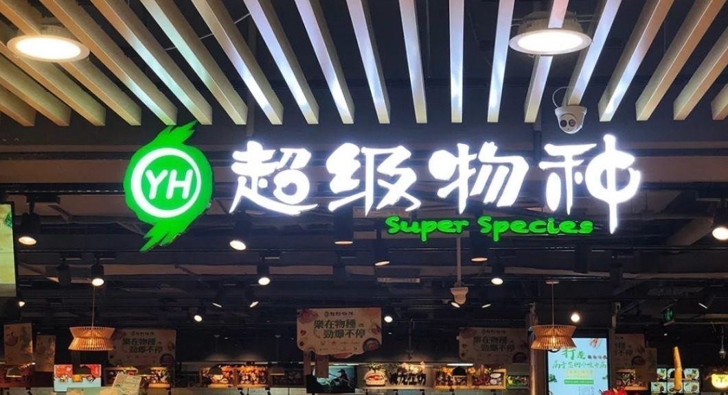 电商|马云“预言”成真了？传统电商在慢慢淘汰，新购物模式已经兴起