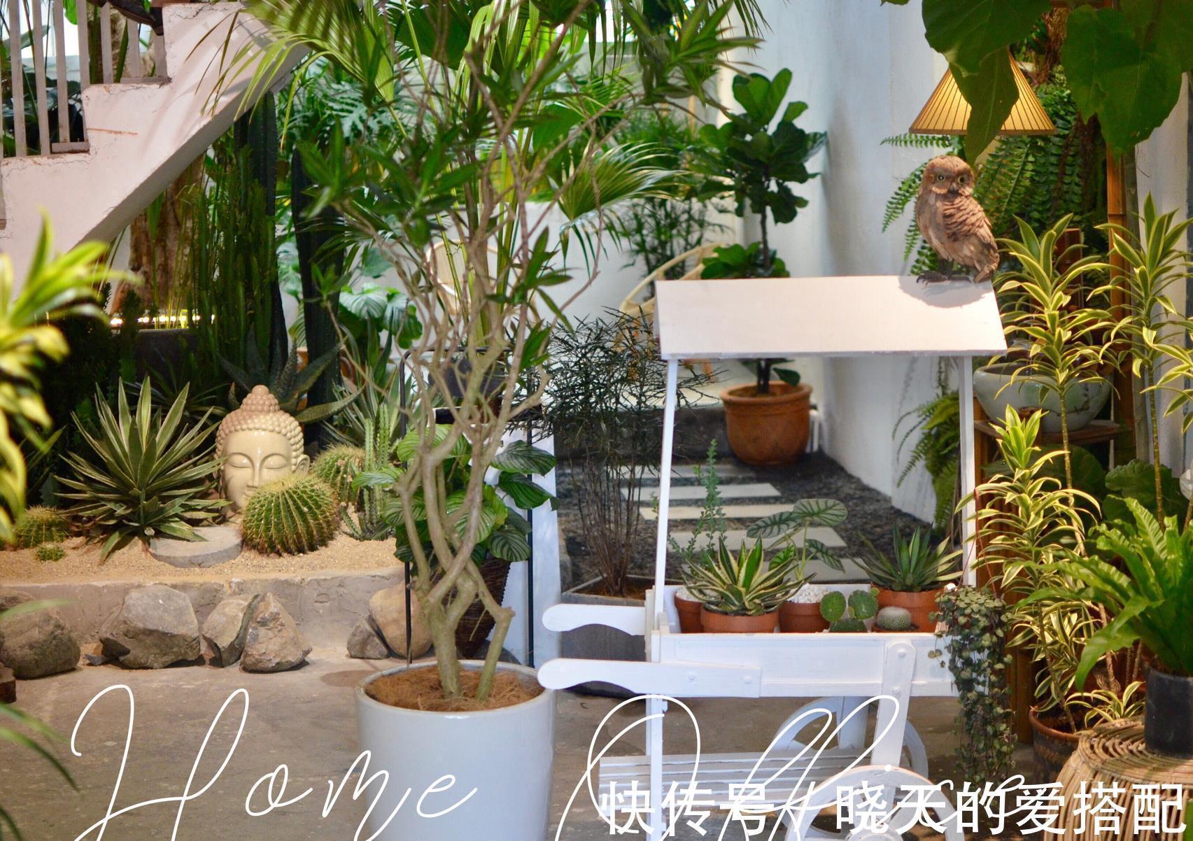 治愈系|小空间庭院花园，正确的绿植搭配技巧，让小院落变身治愈系小花园