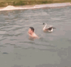 |搞笑GIF趣图:姑娘的眼睫毛真长,但是不压眼皮吗