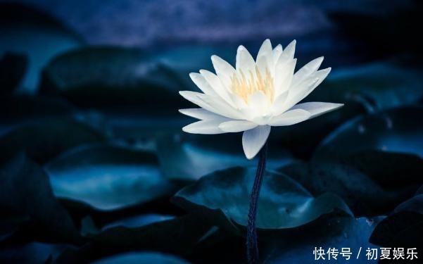 哀怨|这些短句与你分享:豁达一点,对生活少一点哀怨,多一点喜悦