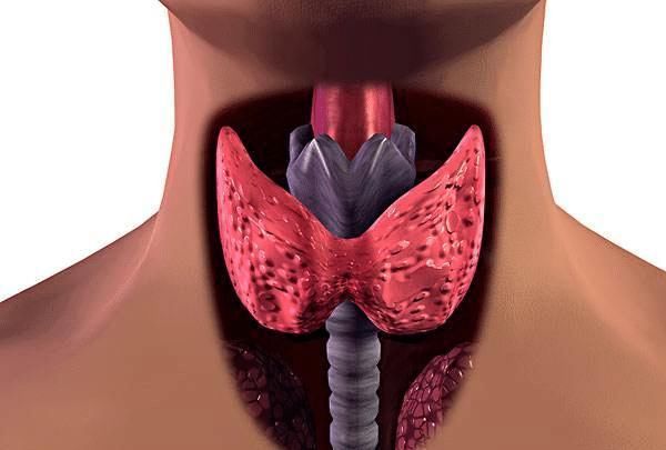 早期症状|“最善良的癌”—甲状腺癌，四个早期症状，不得忽视