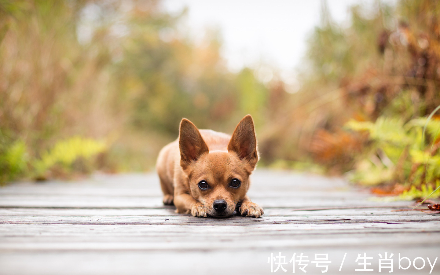 天蝎座|只要不急功近利，很容易就能打拼成一番成就的星座，稳重就是金钱