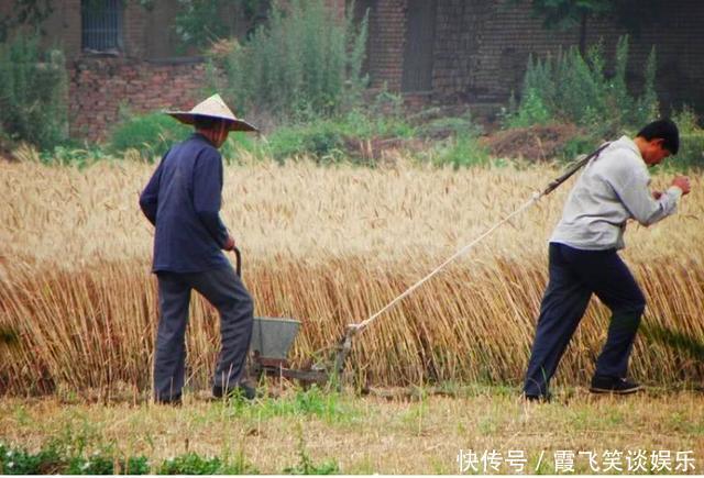 男人|农村俗语“好男有毛别鞭春，好女有膘别看灯”啥意思？老话在理吗