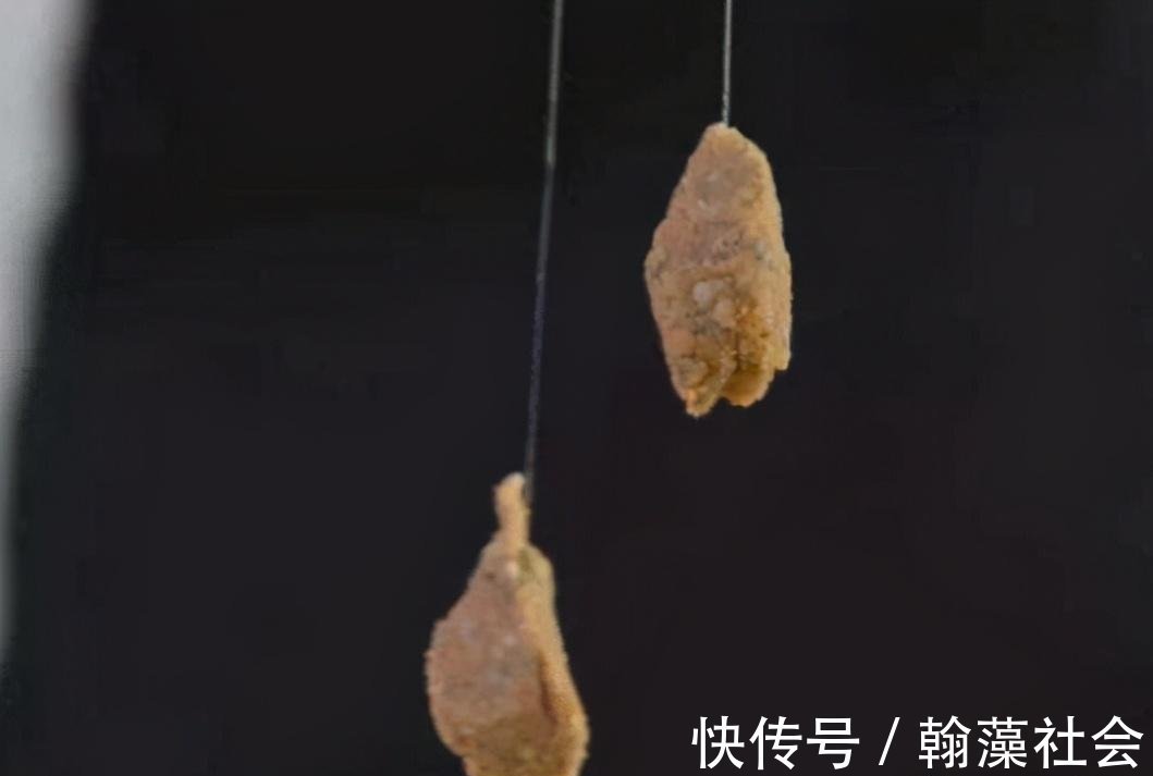 如何搓饵可以帮你钓鲫满满？小小搓饵，有大大的学问