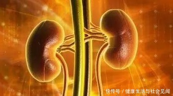 魏茂国:一泡尿就知你的肾好不好,伤肾的7种行为你有吗