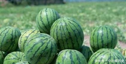  瓜农|乾隆下江南特别口渴，找到一处瓜田吃西瓜，走之后为何下令杀瓜农