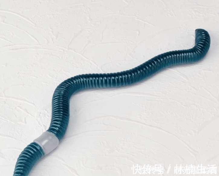 海洋堂|你见过哪些奇怪的手办模型?蟑螂、蚯蚓为原型的手办,还原度太高