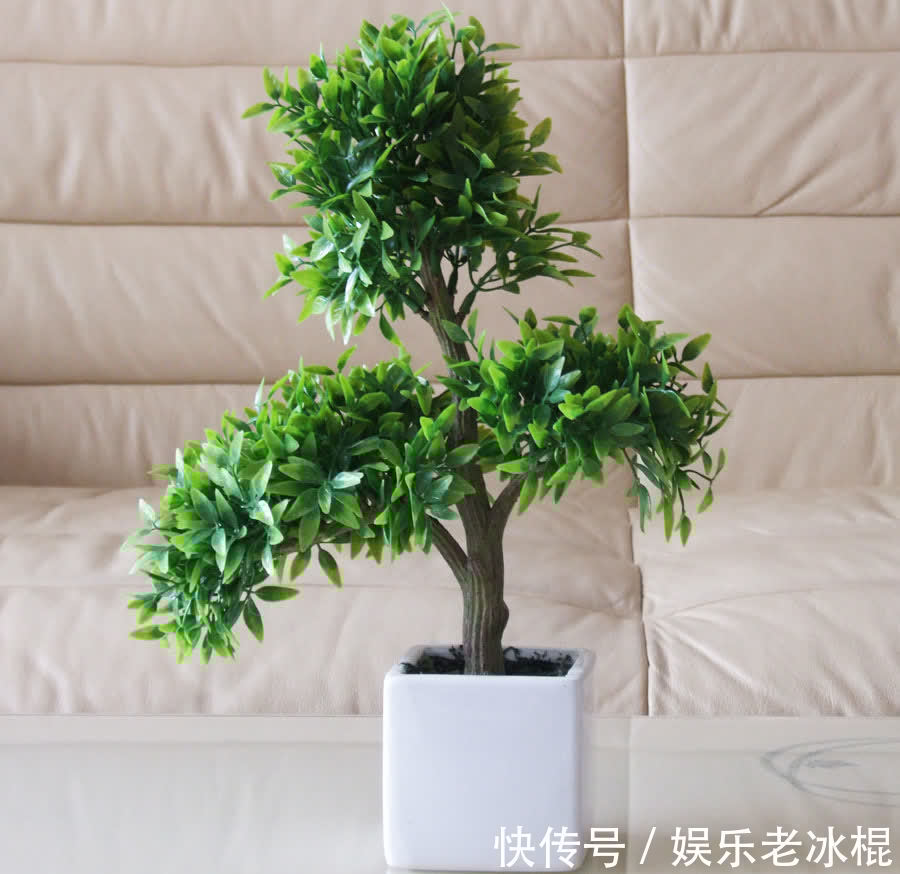 消毒|家庭养花：该怎么给土壤杀菌消毒？简易高效的手段有3种