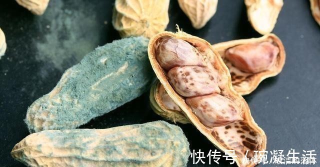 食用|腐败的食物不能吃?这3种食品“腐败”后再吃,美味又不失营养