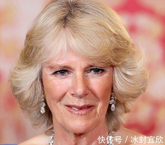 戴安娜!卡米拉的蛇形项链20年前做情人时查尔斯送的,蛇蝎气质一目了然