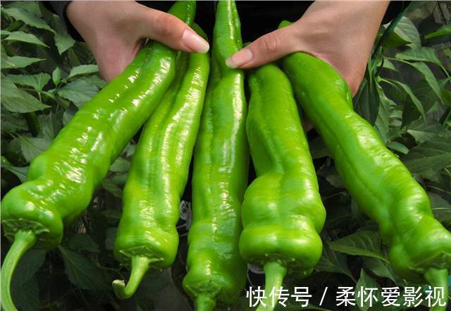 胆固醇|血脂高不高,全写在脸上!脸上出现5个“表现”,请及时调理