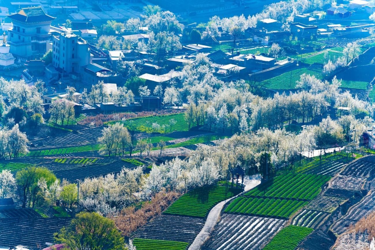 记录|早春的川西美景，从四姑娘山到贡嘎雪山，记录最迷人的景色与地貌