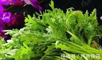 好处|农村到处都是的狗尾巴草，泡水喝竟有4大好处，男女老少都需要