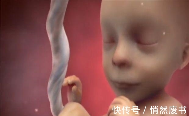 发育|原来孕期这个月开始补钙,或许有助胎儿拥有一双傲人的“大长腿”