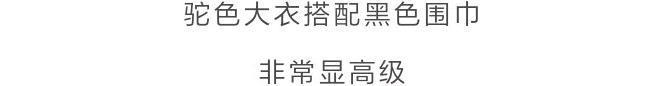 围巾 什么颜色的大衣,就搭什么围巾,这才是超实用的穿搭法
