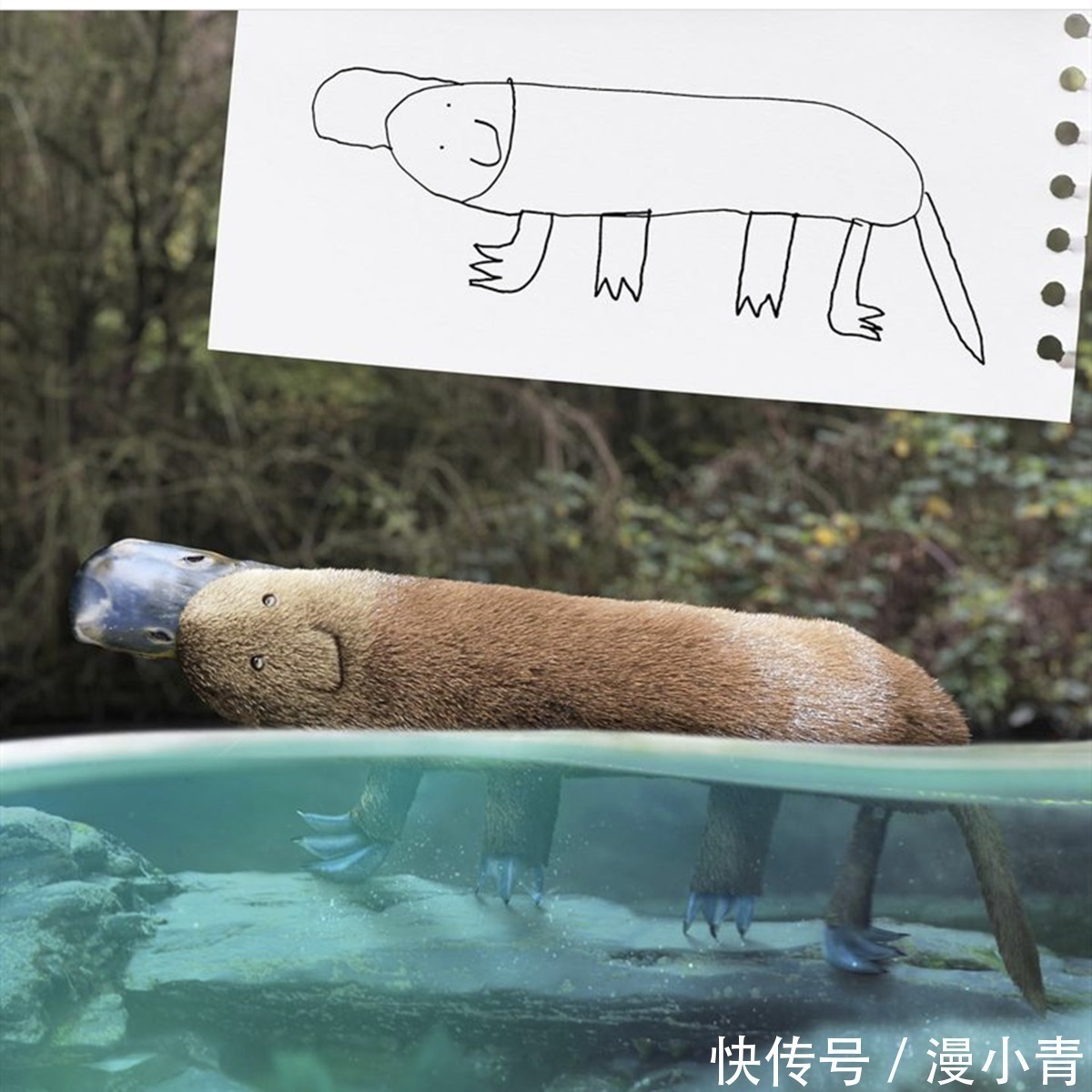 ps技术|为了鼓励孩子不放弃画画,老爸把孩子的夸张作画“搬”到了现实中