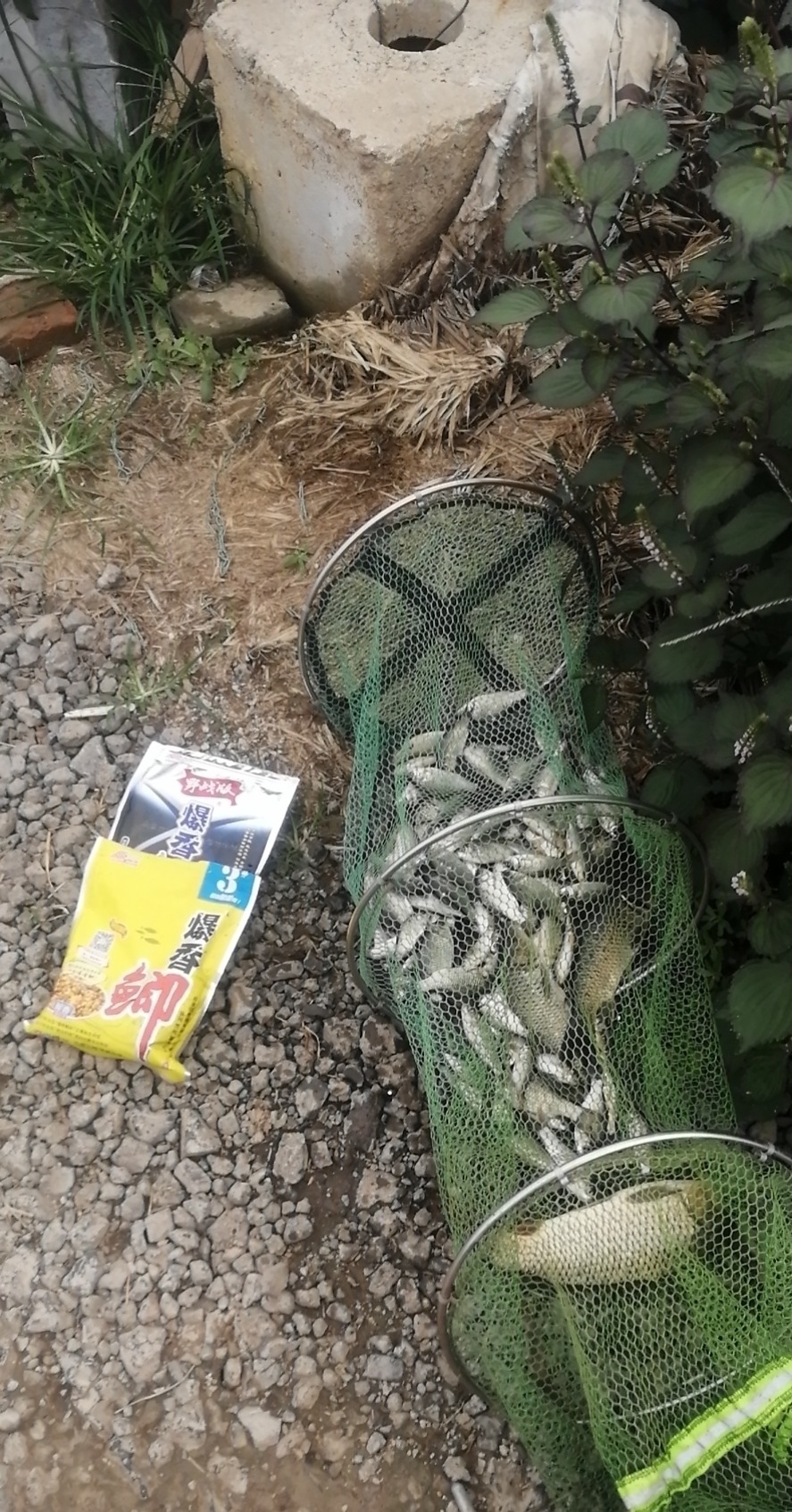 钓鱼有哪些技巧是高手知道而新手不知道的？