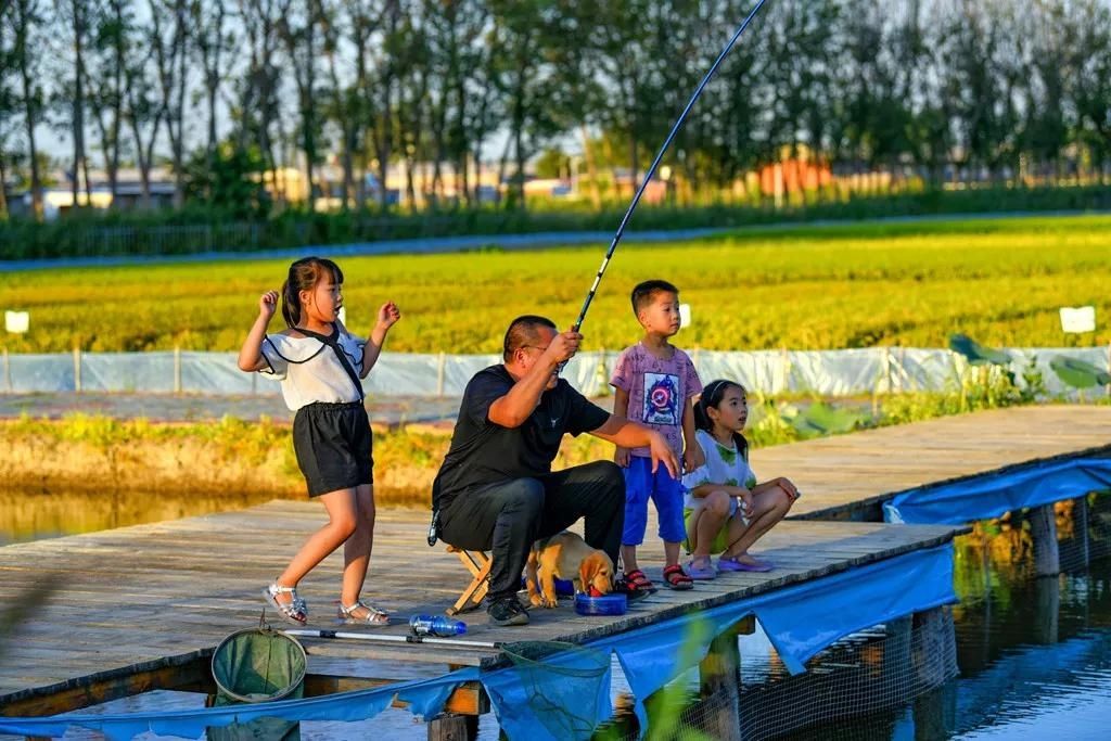 荷花朵朵|曹妃甸：农民端起旅游金“饭碗”