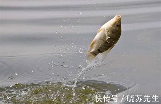 钓友|冬钓鱼口轻?三个细枝末节处的改变,让你渔获翻番