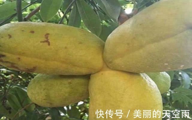 树莓|聪明人喜欢吃3种食物,排毒养颜、延缓衰老,身体棒棒哒!