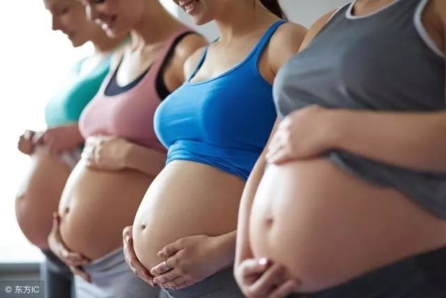 季节|一年分为四季,到底哪个季节,生娃更好呢?