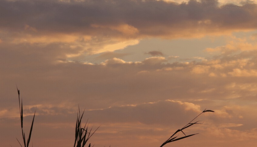 各有不同|人间各有不同,我们都为自己热爱的事而讴歌。