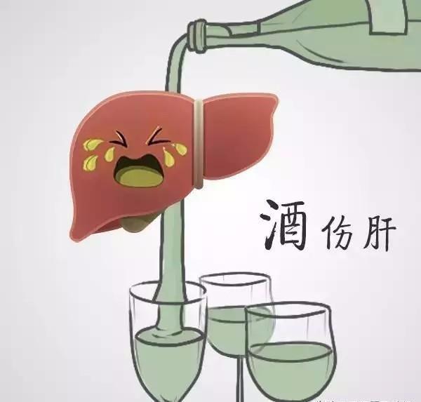 gt|經常適量飲酒，有益身體健康哈佛11萬人研究，終于給出了答案