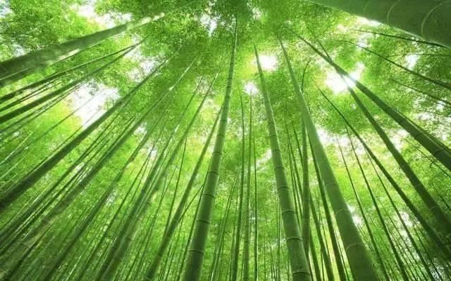 古井澄|诗词:修得心如古井澄， 恣睢山水似云僧