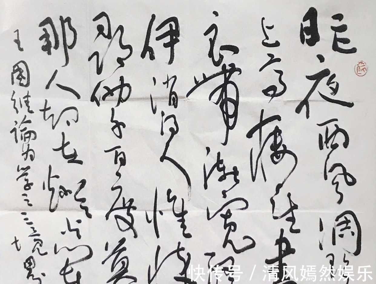 造诣@孙晓云书法笔墨不俗,草书泰斗沈鹏笔法精湛,两者造诣高低引争议