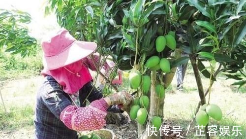 蔬菜水果|宝宝1岁前不能吃的3种水果,宝妈要记牢,对孩子身体没好处