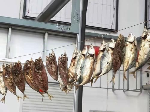 鲜鱼|秋后,遇到此鱼我从不手软,一次买20斤,腌制存放,冬天吃特香