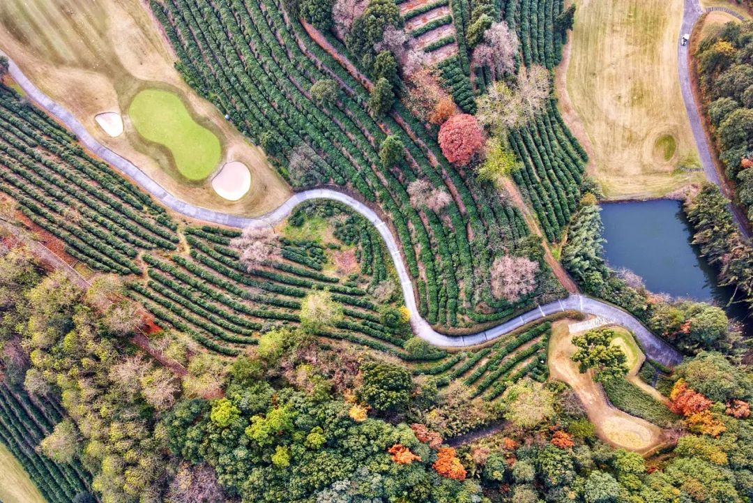 富春山居图|睡进黄公望的禅宗山水画,徒步古典与时尚双生双翼的杭州