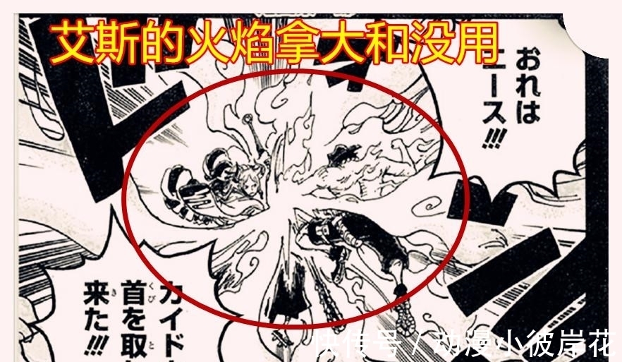 白胡子|海贼王999话:艾斯多次要求白胡子进攻凯多,蒂奇看穿艾斯喜欢狩猎四皇