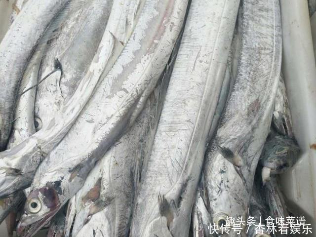 脊椎骨|带鱼里吃出一节骨头,像牙齿一样,摸起来硬硬的,你知道原因吗