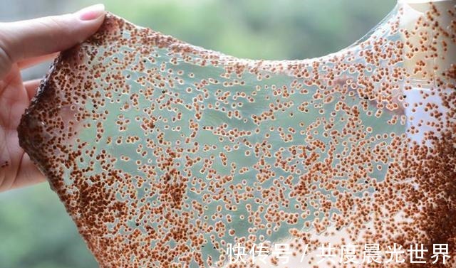 红霉素|红霉素加它敷脸,半个月不到,痘痘、痘印都没了,皮肤还变得嫩滑!