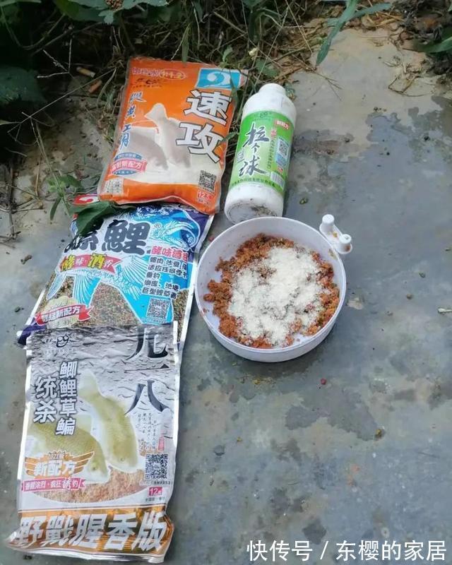 老鬼螺鲤钓鲤鱼,yyds