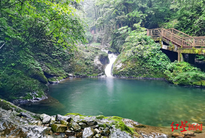 旅游线路|四川洪雅推瓦屋山两条避暑线路 15岁以下学生及中、高考毕业生9月前免门票